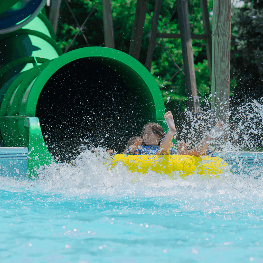 platypus attraction photo
